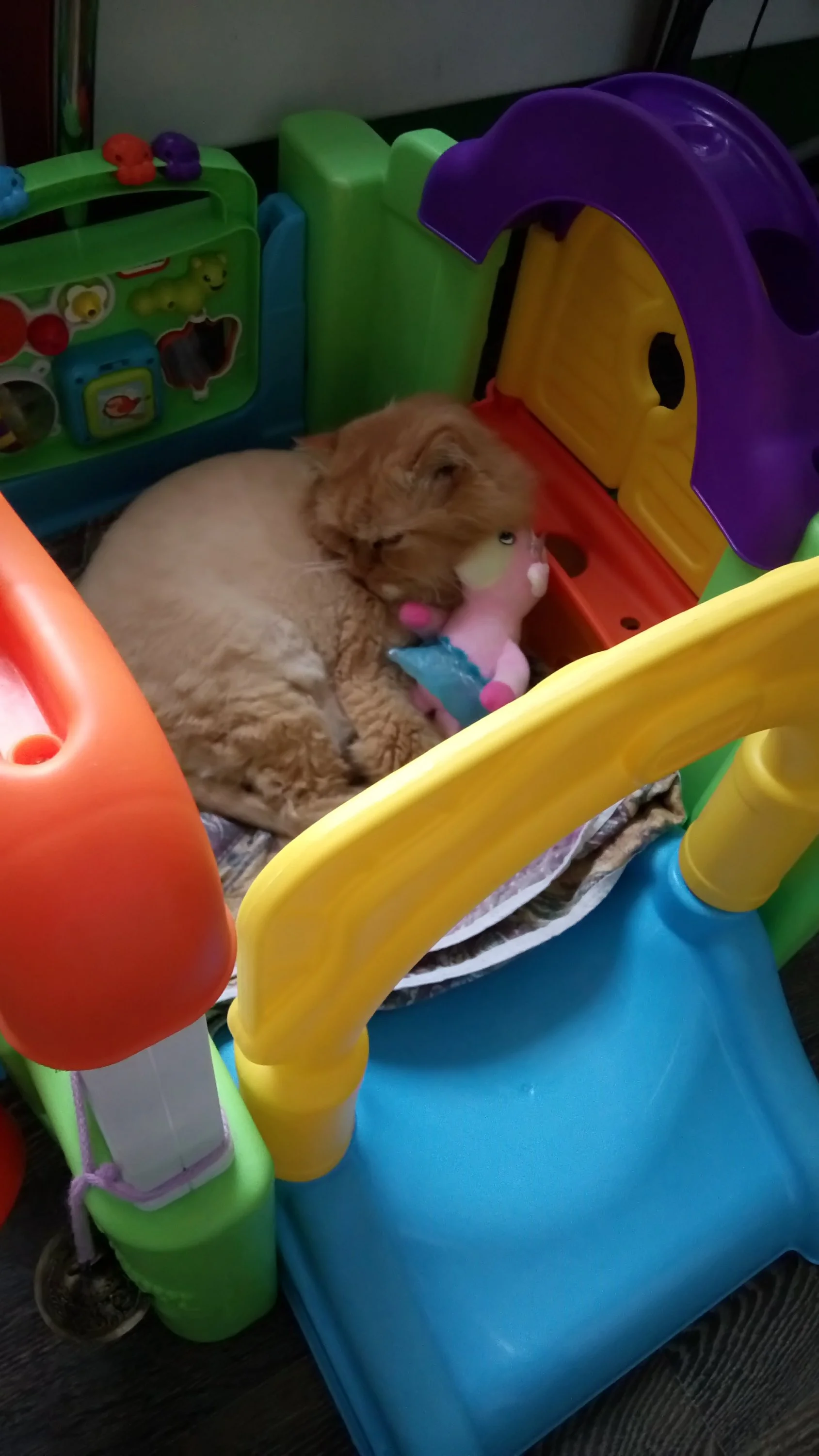 конкурс весна 3.webp