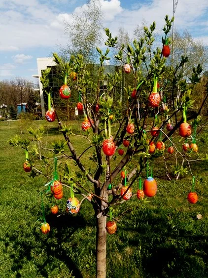 конкурссуровый ден 1.webp