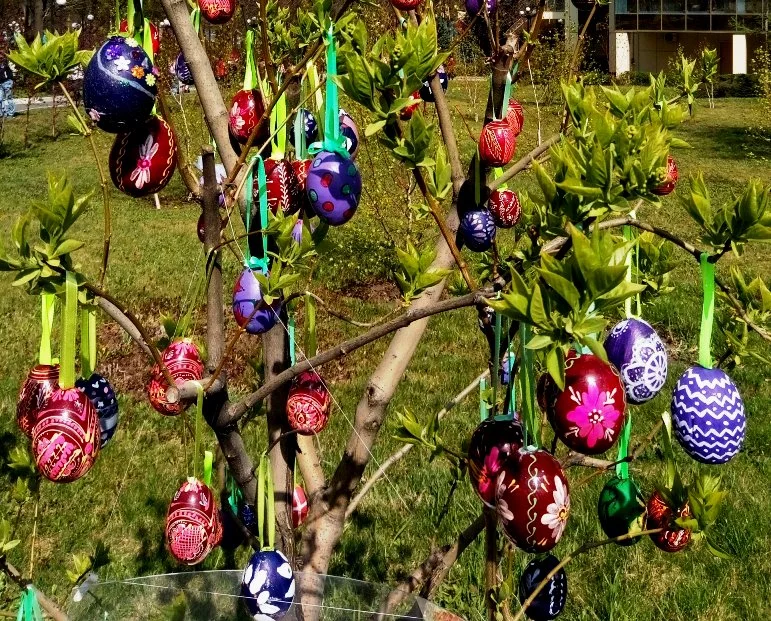 конкурссуровый1 ден 3.webp