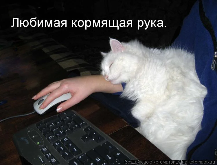 Кормящая рука.webp