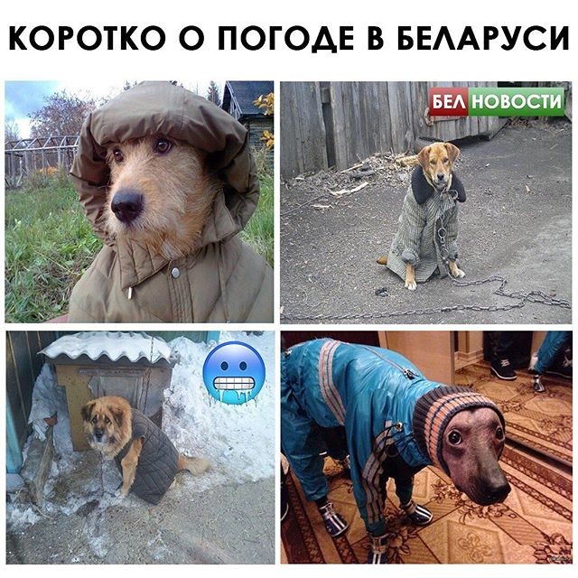 коротко о погоде.jpg