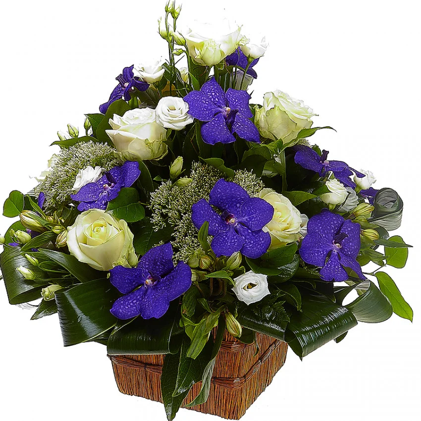 korzina-s-rozami-i-orhideyami-192_c8fd7d03fa59529cdcbe3b8f2ced26df.webp