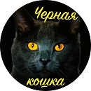 Коша.png