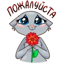 кошечка пожалуйста.webp