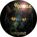 Кошка.webp