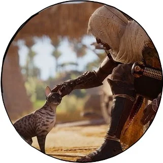 кошки асса.webp