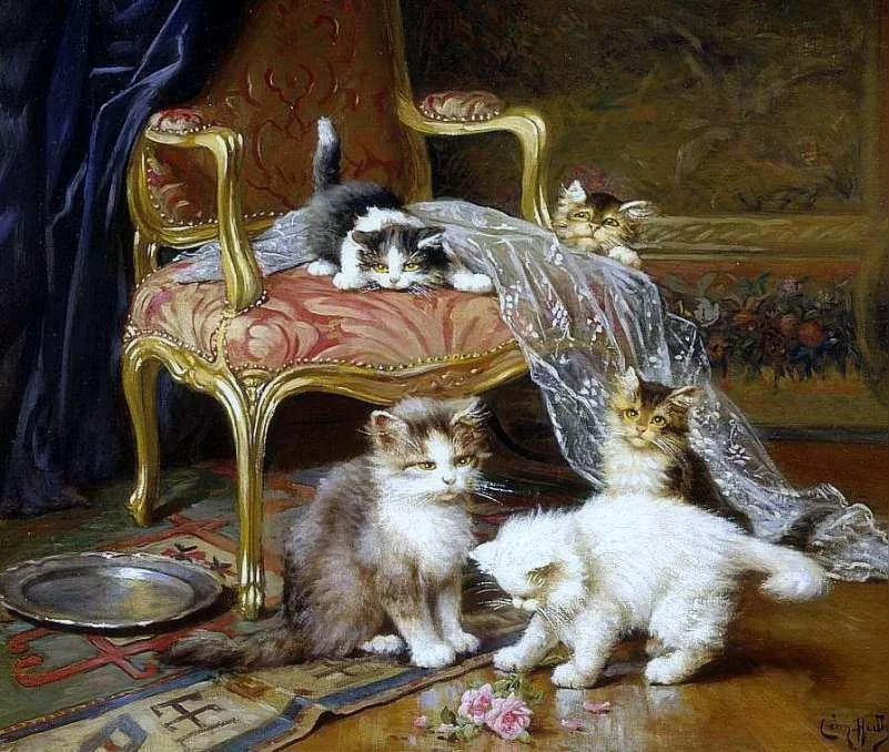 кошки моргане.webp