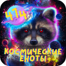 Космические_еноты-logo-small-4.png