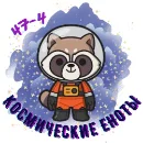 Космические_еноты-logo-small-5.webp