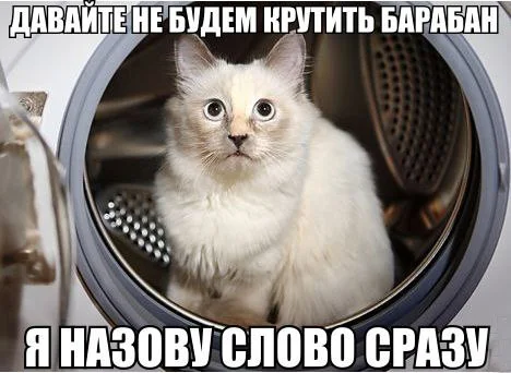 кот б.webp