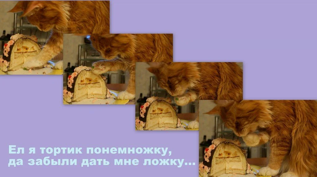 Кот ест торт-2.webp