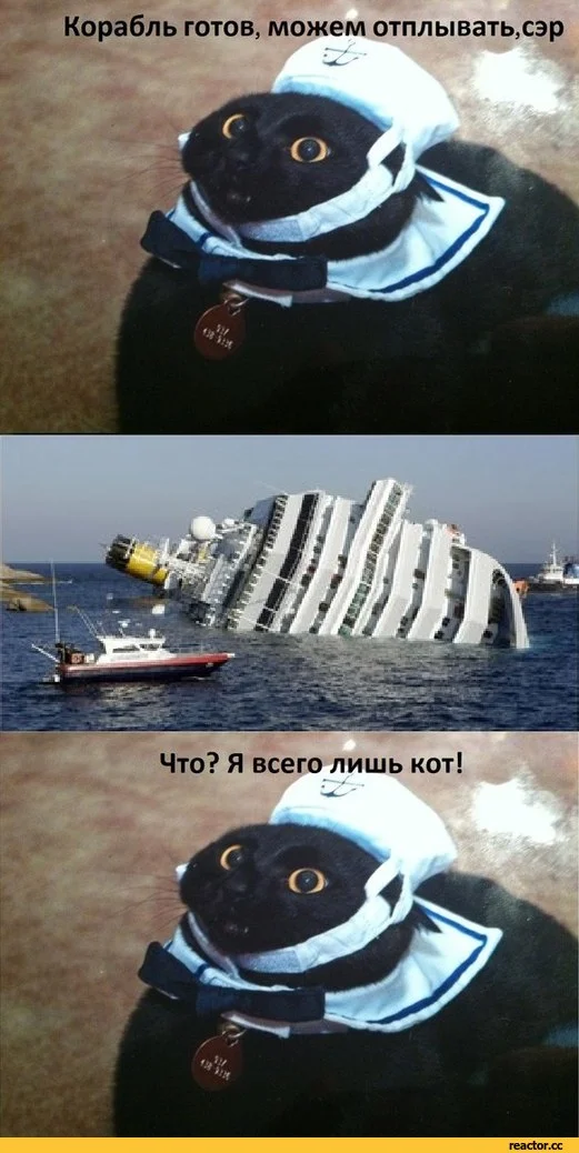 кот-корабль-Капитан-крушение-688253.webp