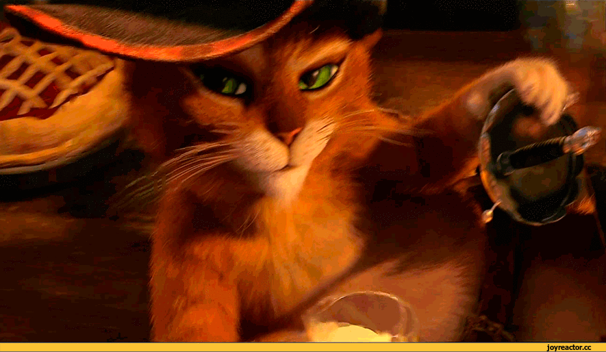 кот мушкетер.gif