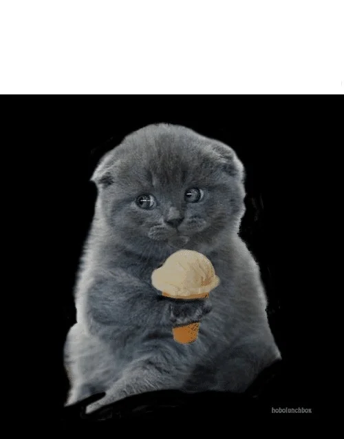 Кот с мороженым.webp
