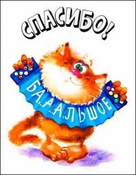 Кот спасибо.webp