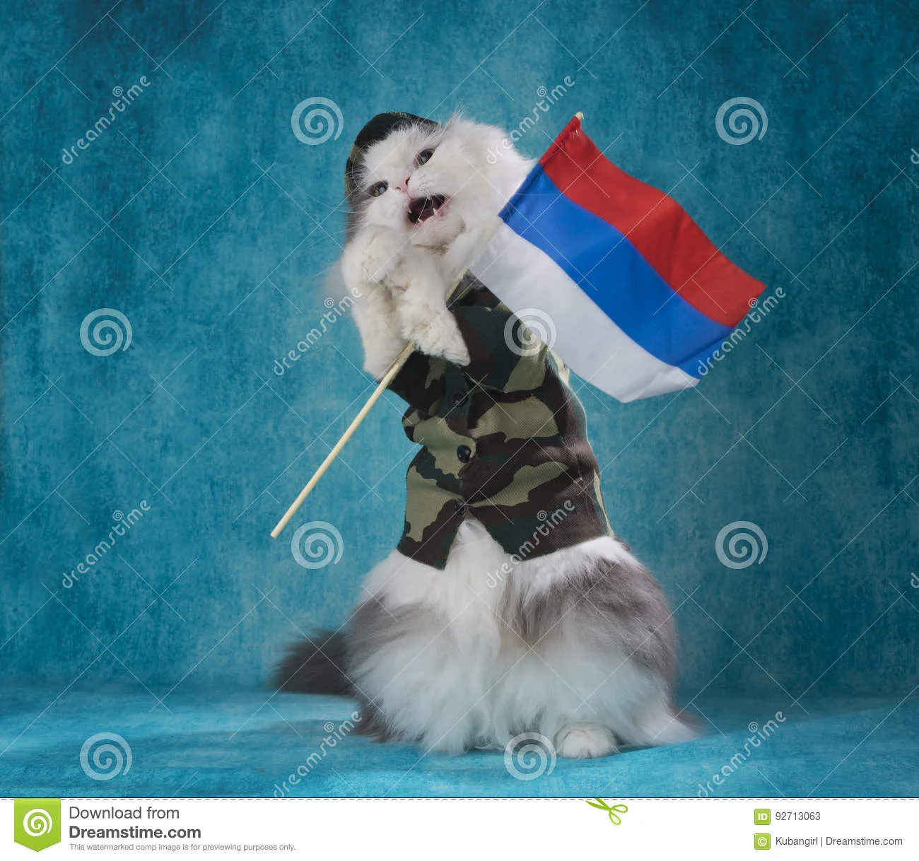 кот-в-воинском-костюме-с-русским-ф-агом-92713063.webp