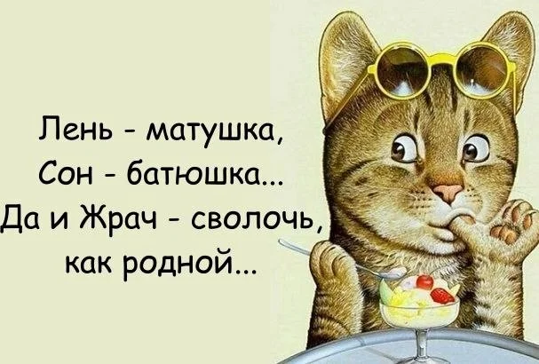 Кот жрет.webp