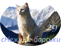кот2.webp