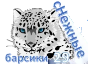 кот8.webp