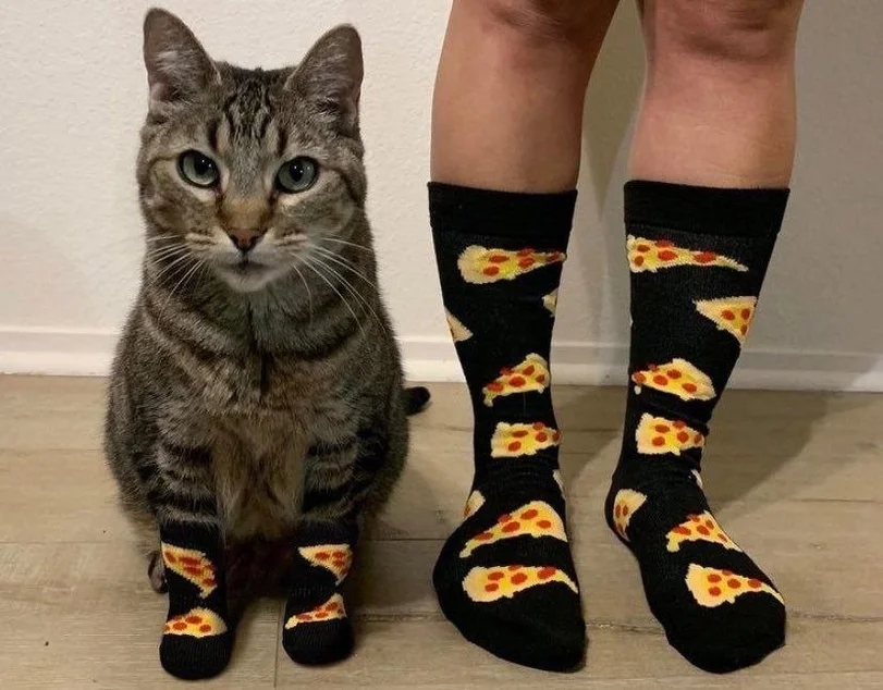 котэ-носочки-питса-7463113.webp