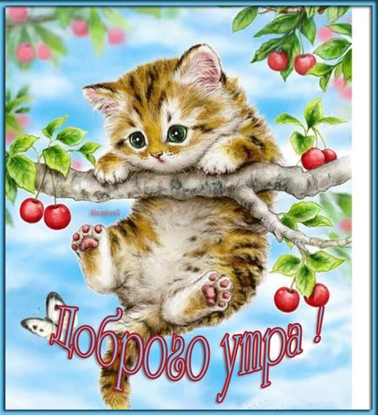 котенок на вишневой веточке.webp