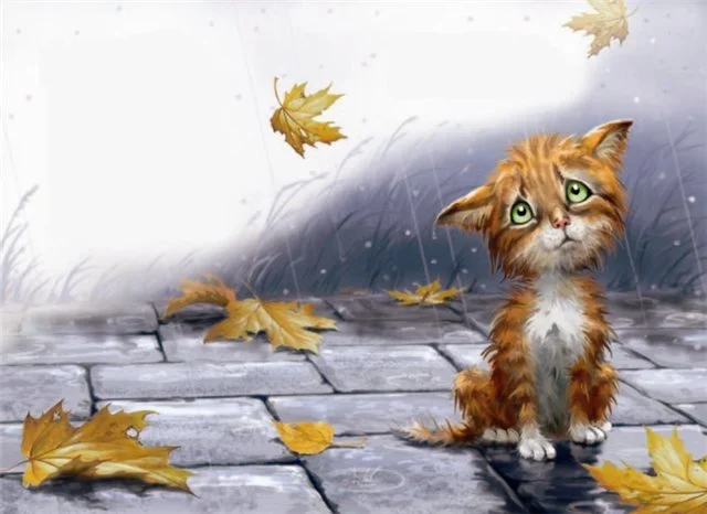 котик несчастный.webp