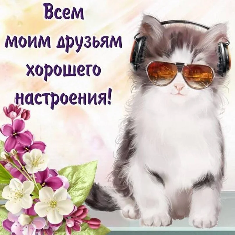 котяра)).webp