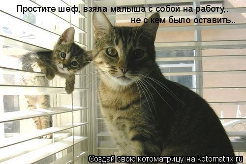 которебёнок.jpg