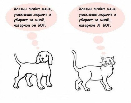 котпес.jpg