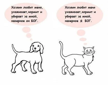 котпес.webp