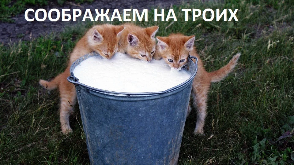 kotyatki-zhivnost-ry-zhie-moloko-954845.webp