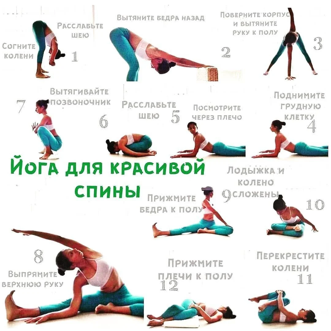 красивая спина.webp