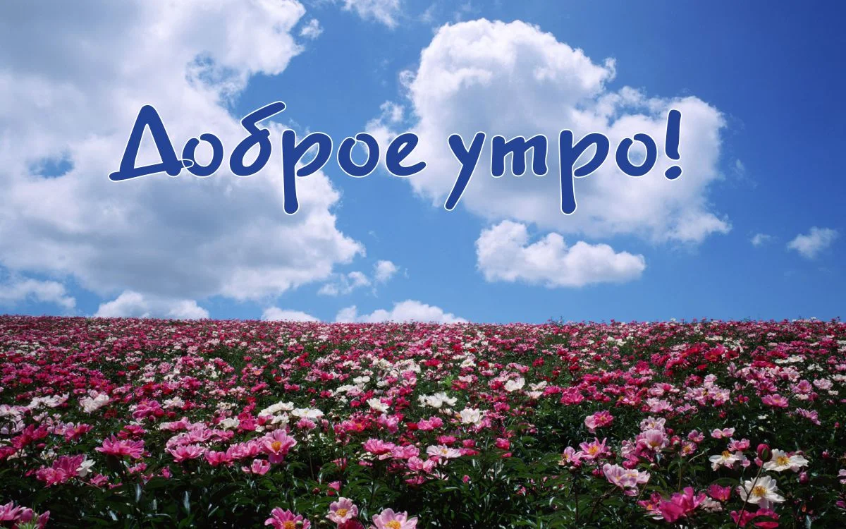 krasivaya-kartinka-dobroye-utro-44.webp