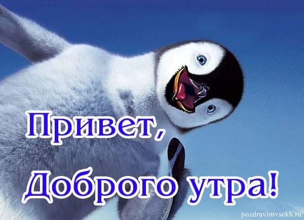 krasivaya-kartinka-s-dobrym-utrom-18.webp