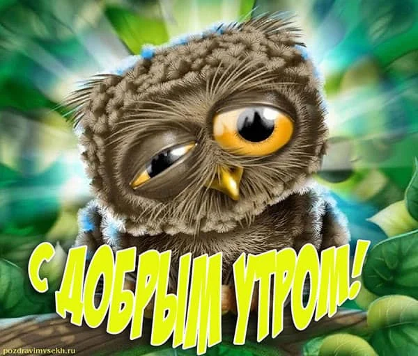 krasivaya-kartinka-s-dobrym-utrom-28.webp