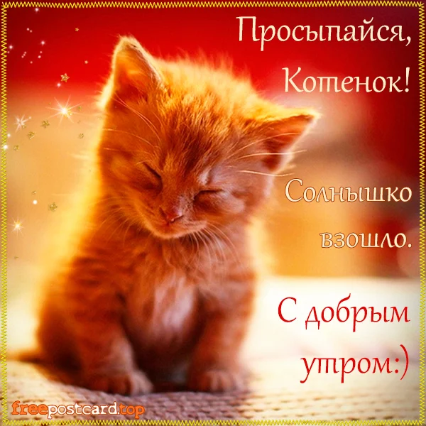 krasivaya-otkrytka-s-dobrym-utrom-19.webp