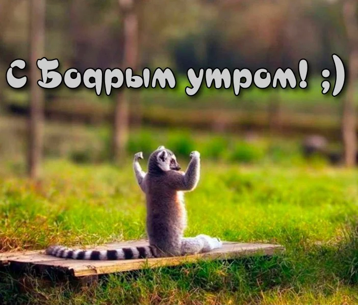 krasivie-dobroe-utro-prikolnye-13.webp