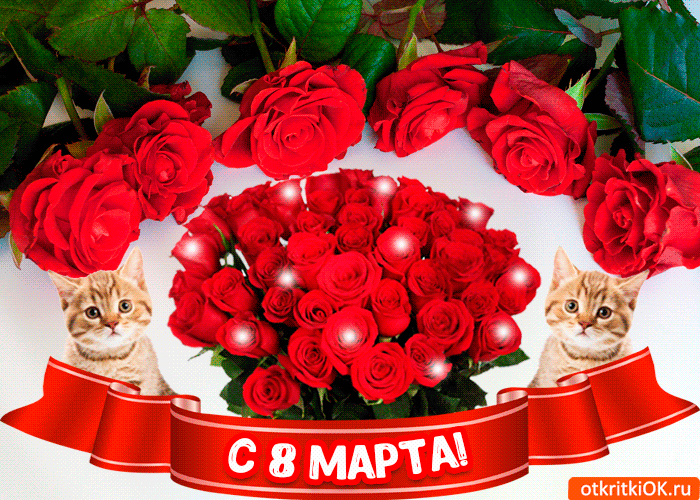 krasivoe-i-prikolnoe-pozdravlenie-na-8-marta-52256-2810837.gif