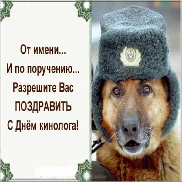 krasivye-kartinki-den-kinologicheskih-podrazdelenij-mvd-rossii-den-kinologa-humoraf-ru-11.webp