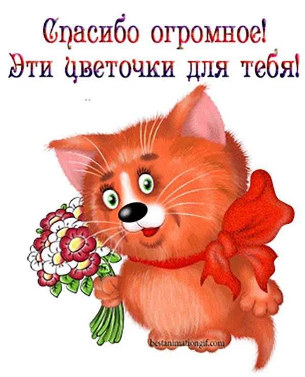 Krasivye-kartinki-Ogromnoe-spasibo-5.webp