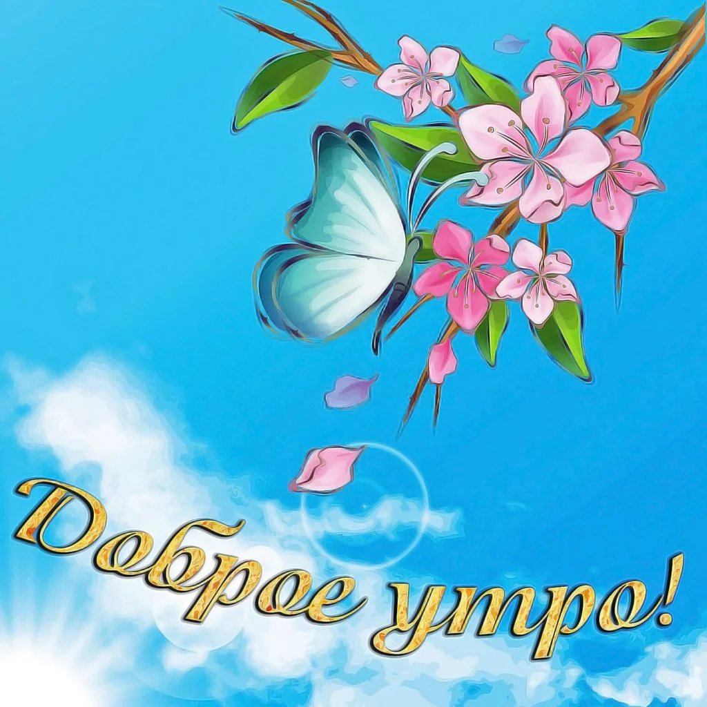krasivye-otkrytki-kartinki-s-dobrym-utrom-chast-1-aya-txt-6-1024x1024.webp