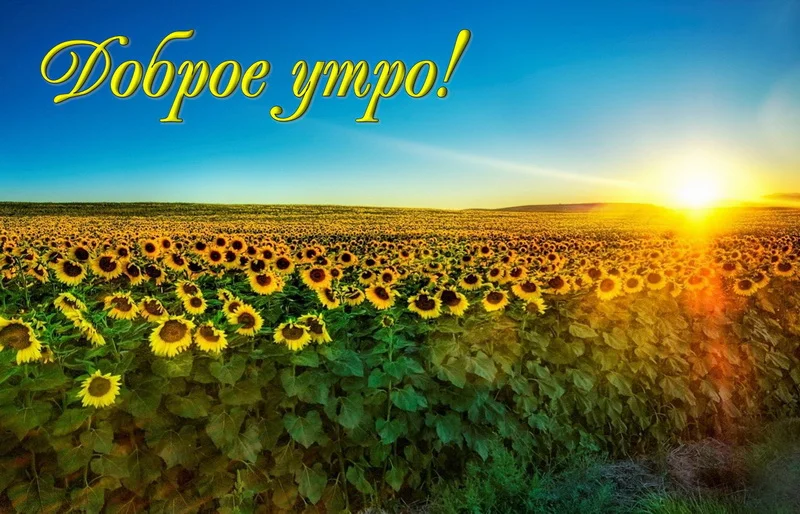 krasivye-otkrytki-kartinki-s-dobrym-utrom-chast-5-aya-2.webp