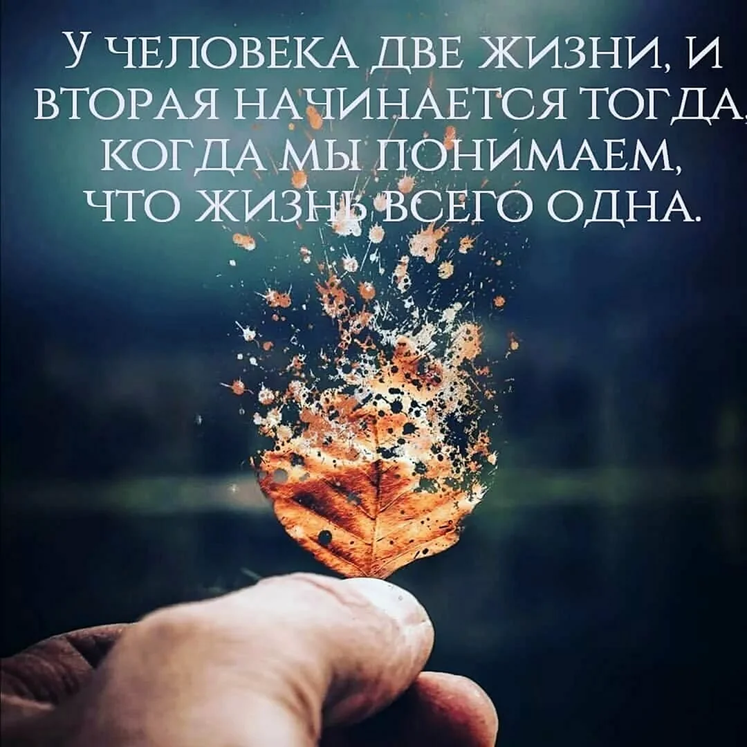 krasivye-tsitaty-1.webp