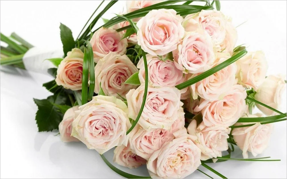 krasivyj-buket-rozovyh-roz-1007x630.webp