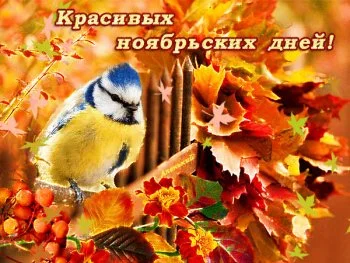 krasivyx-noyabrskix-dnej.webp