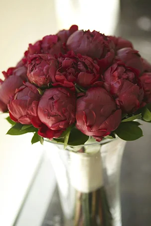 Красные пионы.webp