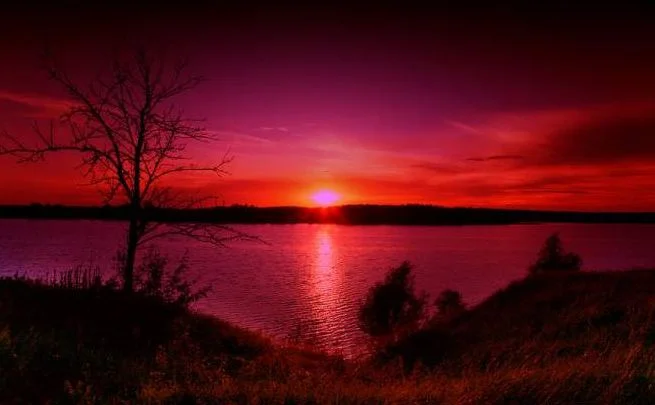 красный веч.webp