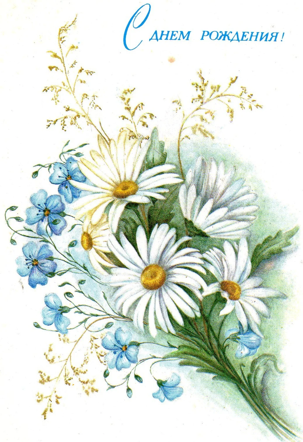 крассивая открытка с днём рождения.webp