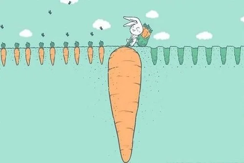 кролик не сдавайся.webp