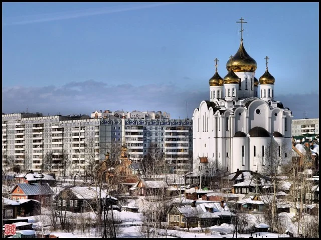 кртинка 2.webp